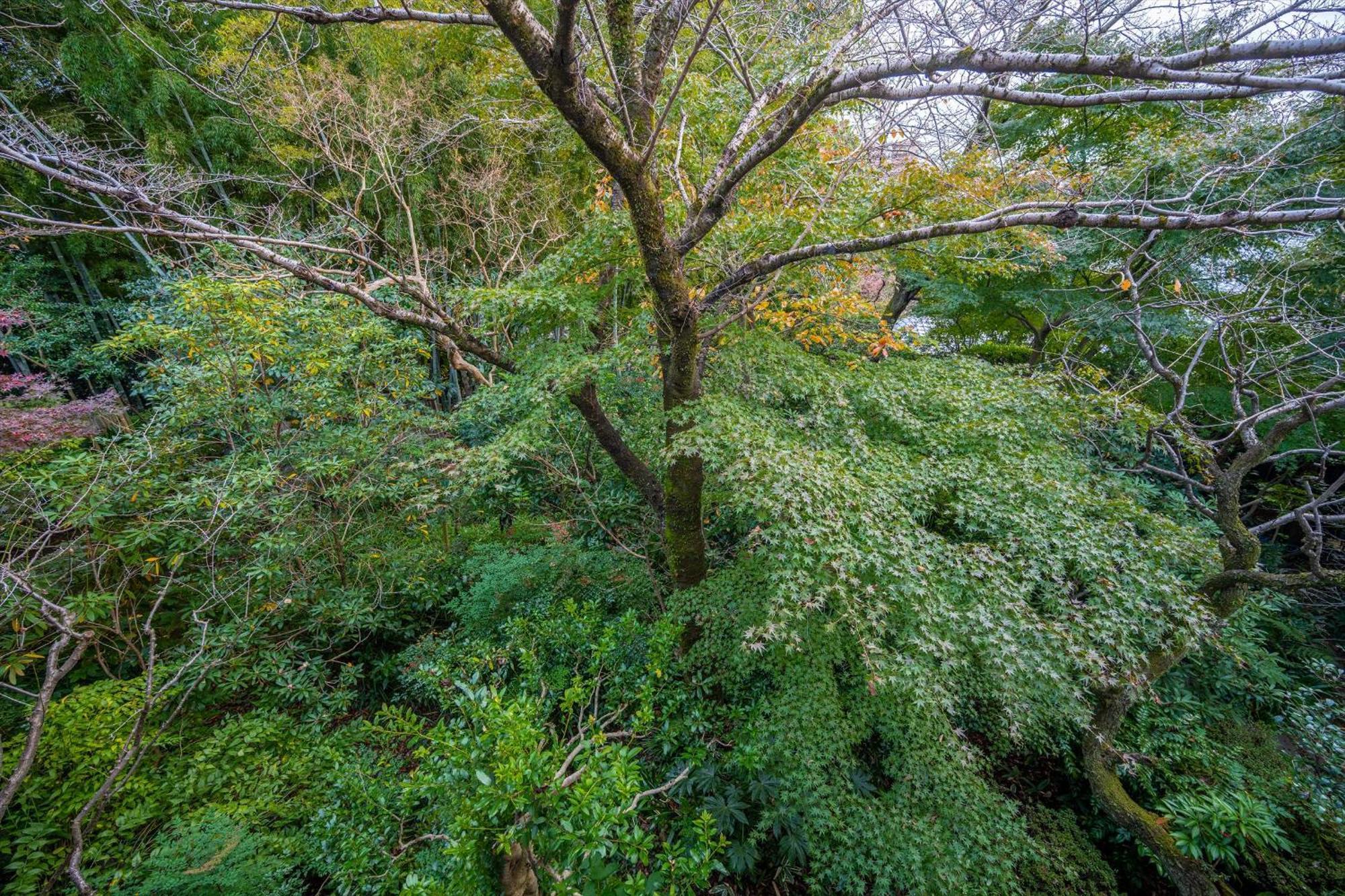 Jinya Ryokan Hadano Buitenkant foto