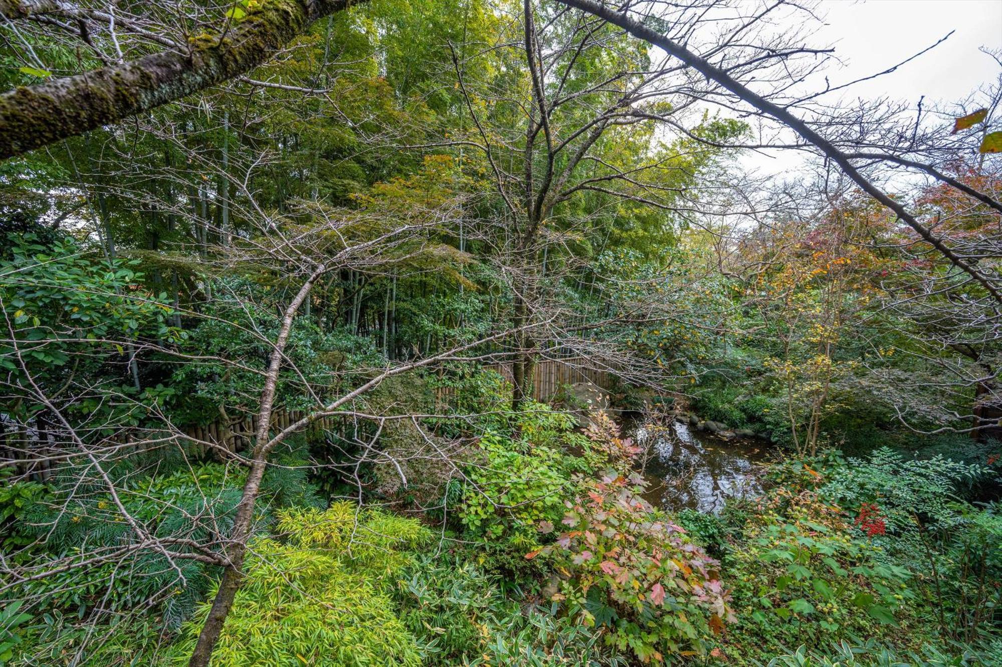 Jinya Ryokan Hadano Buitenkant foto